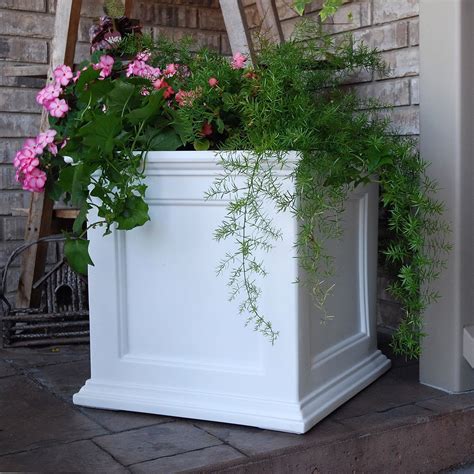 white square planter box outdoor